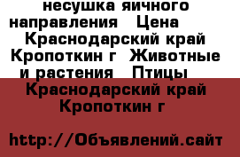 несушка яичного направления › Цена ­ 200 - Краснодарский край, Кропоткин г. Животные и растения » Птицы   . Краснодарский край,Кропоткин г.